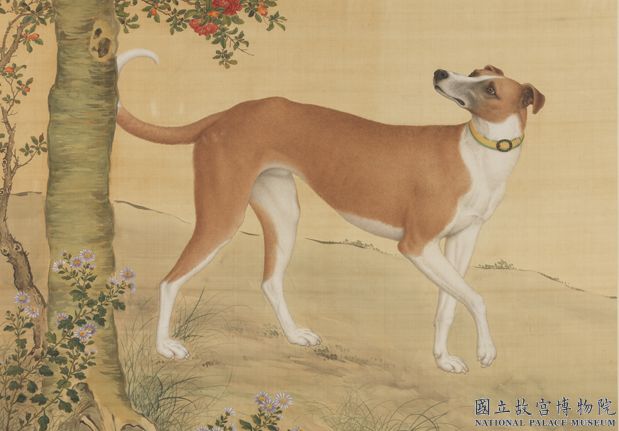 清郎世寧畫十駿犬茹黃豹　軸